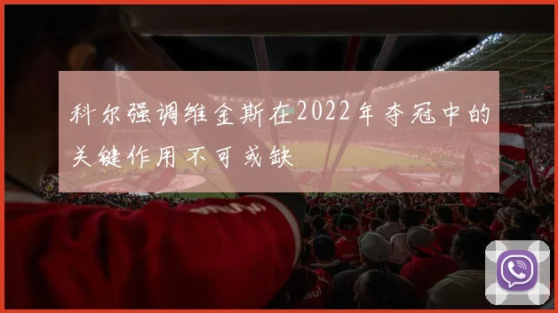 科尔强调维金斯在2022年夺冠中的关键作用不可或缺