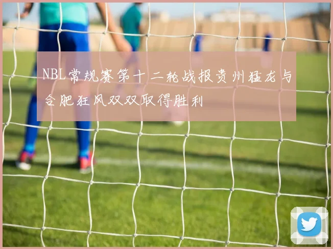 NBL常规赛第十二轮战报贵州猛龙与合肥狂风双双取得胜利